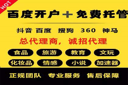 竞价广告的投放策略与网络推广的实践案例